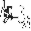 pvla_logo_bw.jpg